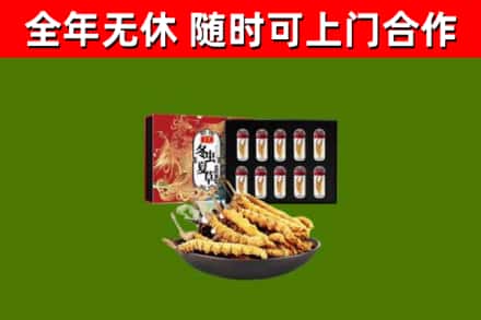 江宁区烟酒回收冬虫夏草礼盒.jpg